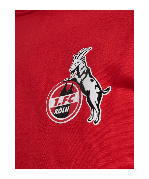 hummel 1. fc köln resetröja 20242025 barn röd f3062