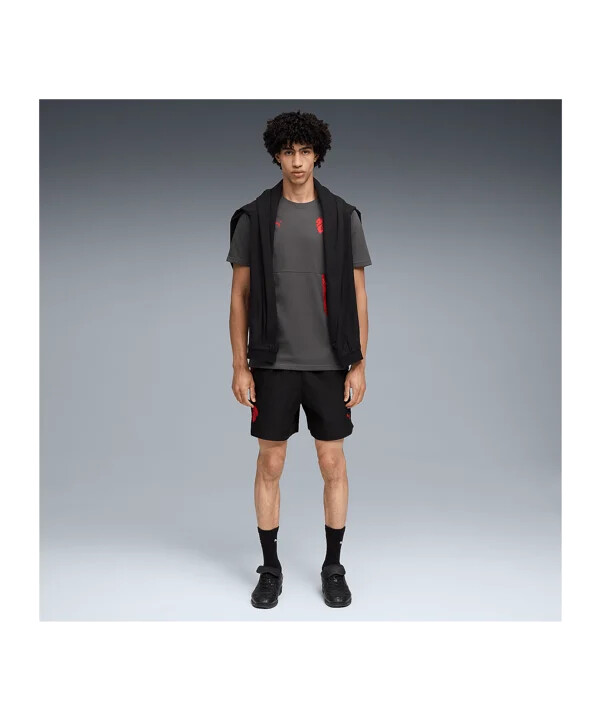 puma ac milan pumatech pocket t-shirt grå f15