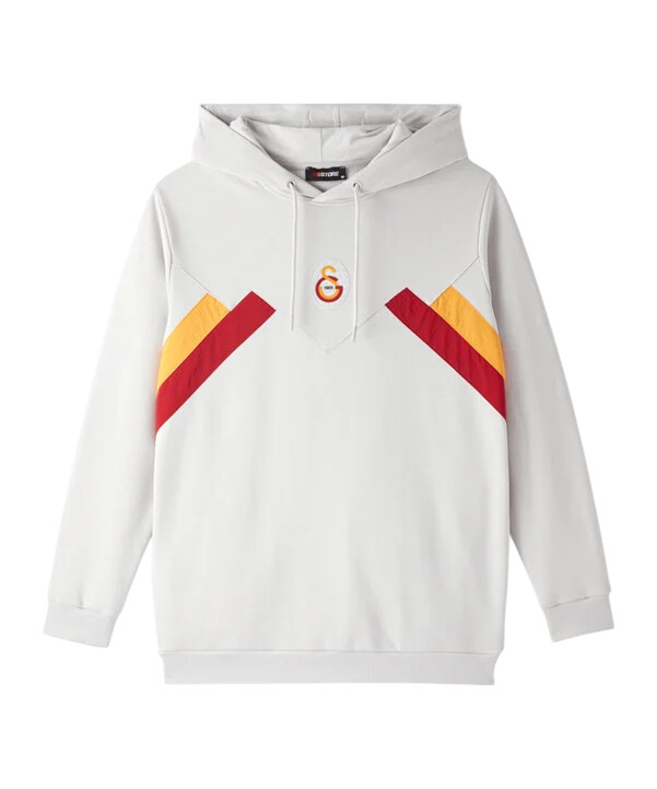 galatasaray istanbul hoodie grå