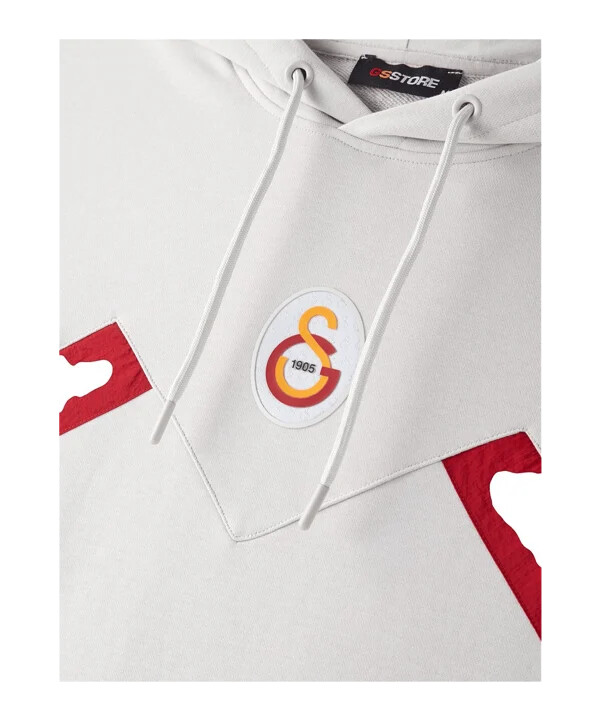 galatasaray istanbul hoodie grå