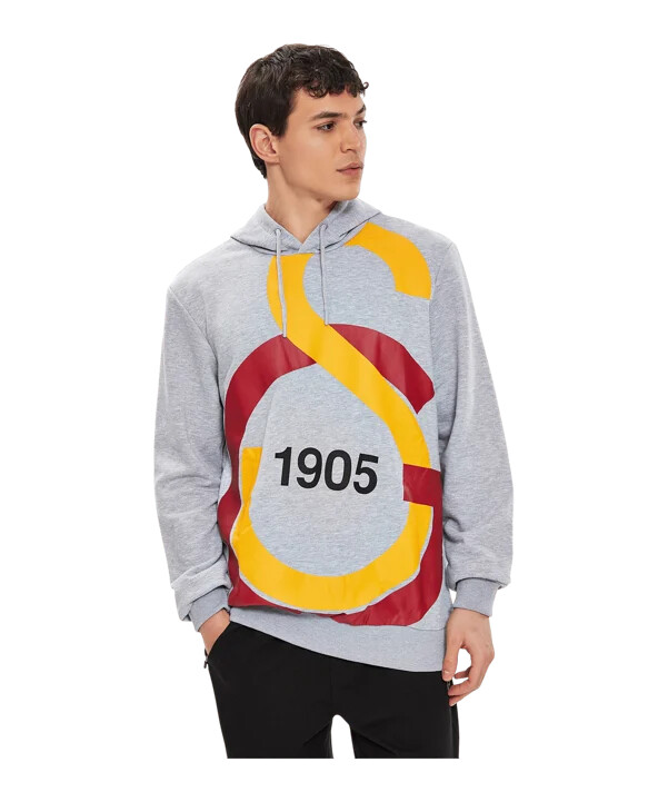 galatasaray istanbul big logo tröja grå