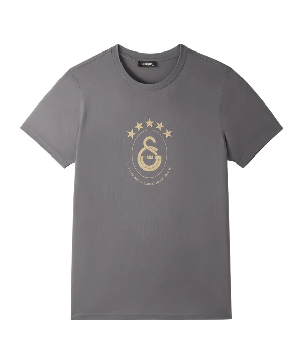 galatasaray istanbul galatasaray istanbul 5 stars t-shirt grå