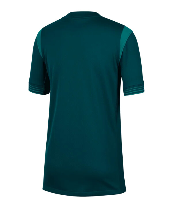 nike nigeria hemmatröja 20252026 barn blå f483