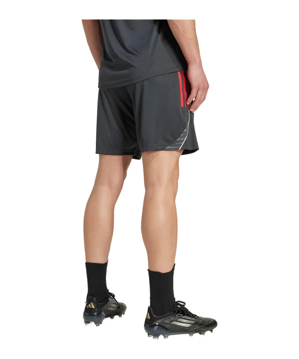 adidas olympic lyon träningsshorts grå