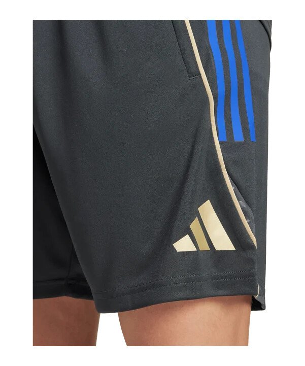 adidas olympic lyon träningsshorts grå