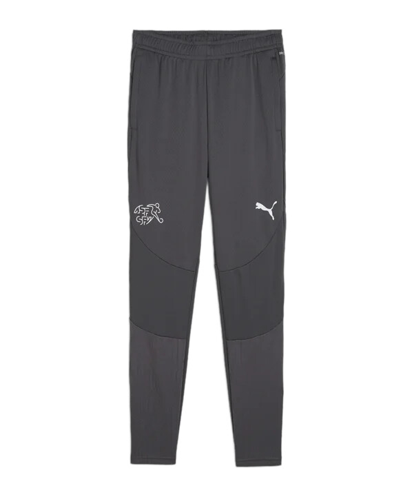 puma schweiz träningssko grau f11