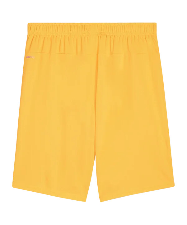 puma sk rapid wien målvaktsshorts 20242025 barn orange f61