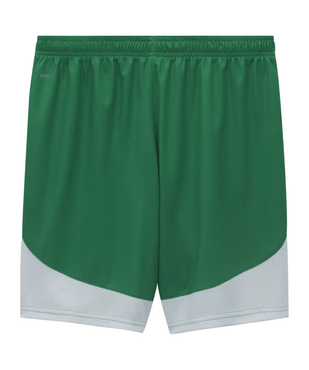 puma sk rapid short hemma 20242025 grön f01