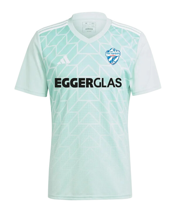 adidas tsv hartberg bortatröja 20242025 barn turkos