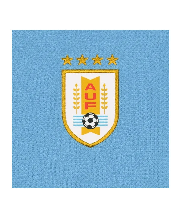 nike uruguay hemmatröja barn blå f412