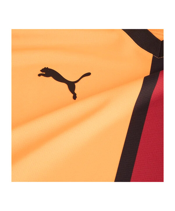 puma galatasaray istanbul hemmatröja 20242025 röd f01